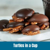 Turtles in a Cup Coffee